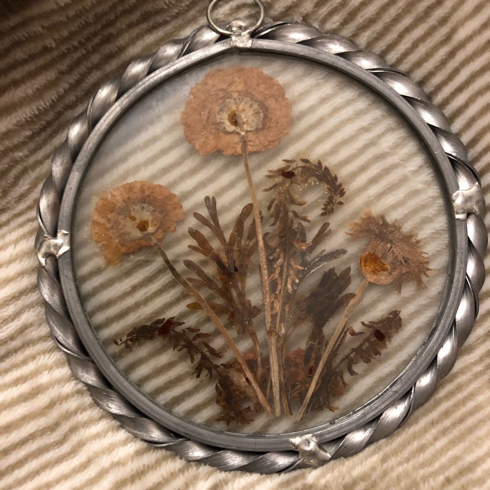 Vintage pressed flowers suncatcher set - Picture 3 of 7